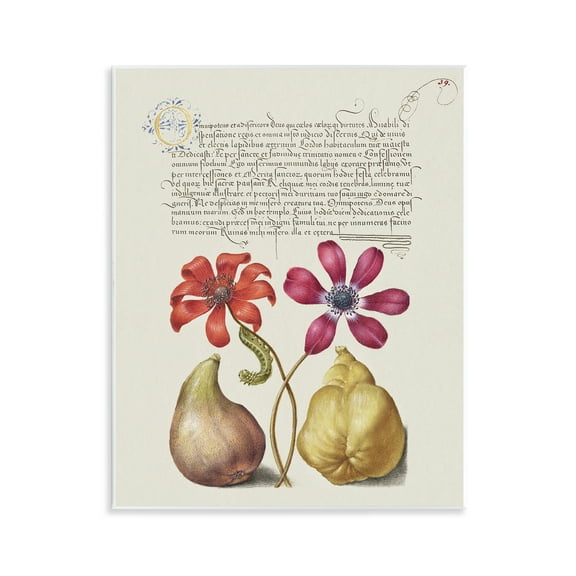 Stupell Industries Vintage Nature Page Text & Numbers Painting Unframed Art Print Wall Art, 11 x 14