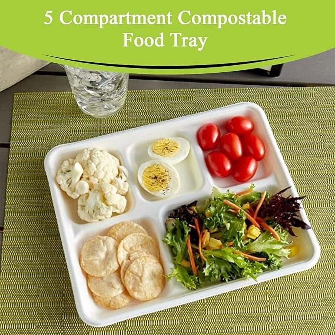 Watson Distributing Disposable Plate Bagasse Rectangular Tray 5-Compartment, 500 Count