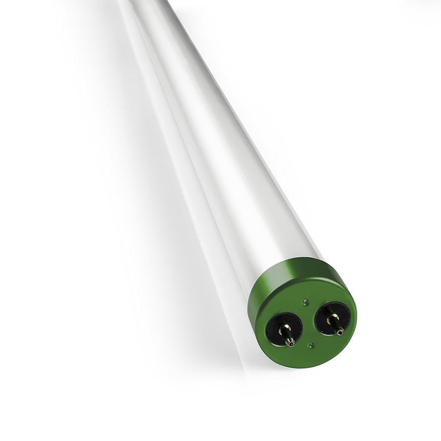 T8 4FT LED Glass Tubes, 18W 6500K, Single Ended Power, Frosted, 4 FT