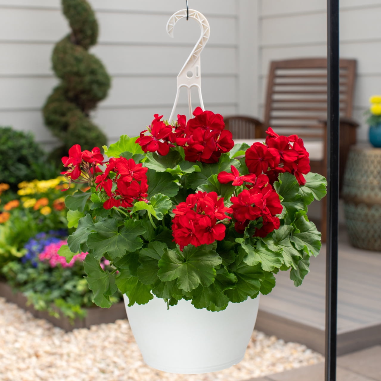 Expert Gardener 1.5gal Red Geranium Live Annual Plant Decorative Pot Sun