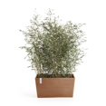 thumbnail image 3 of Ecopots Paris Durable Modern Rectangular Indoor/Outdoor Recycled Based Composite Flower Planter, Terracotta Color, 23.5", 3 of 4