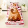 thumbnail image 3 of Manfei Cute Cherry Blossoms Pattern Twin Sheets,Kawaii Capybara Bedding,Pink,3pcs,1 Fitted Sheet and 1 Pillowcase, 3 of 6