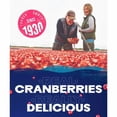 thumbnail image 3 of Ocean Spray Pink Cranberry Juice 1L, British Import (Pack of 2), 3 of 5
