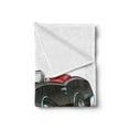 thumbnail image 2 of Cars Soft Flannel Fleece Throw Blanket, American Nostalgic Sports Muscle Car with Speeding Wheels Tires Print, Cozy Plush for Indoor and Outdoor Use, 70" x 90", Pale Grey Blue, by Ambesonne, 2 of 5