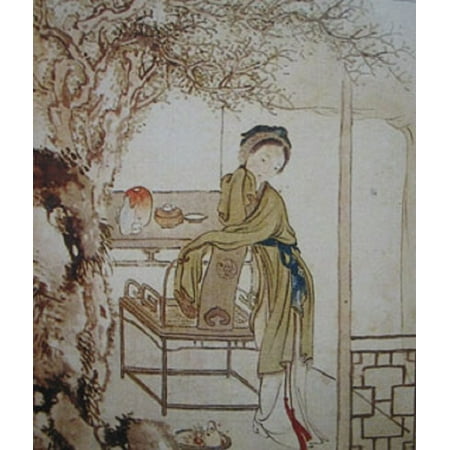 Hung Lou Meng or The Dream of the Red Chamber, 18th century Chinese novel -