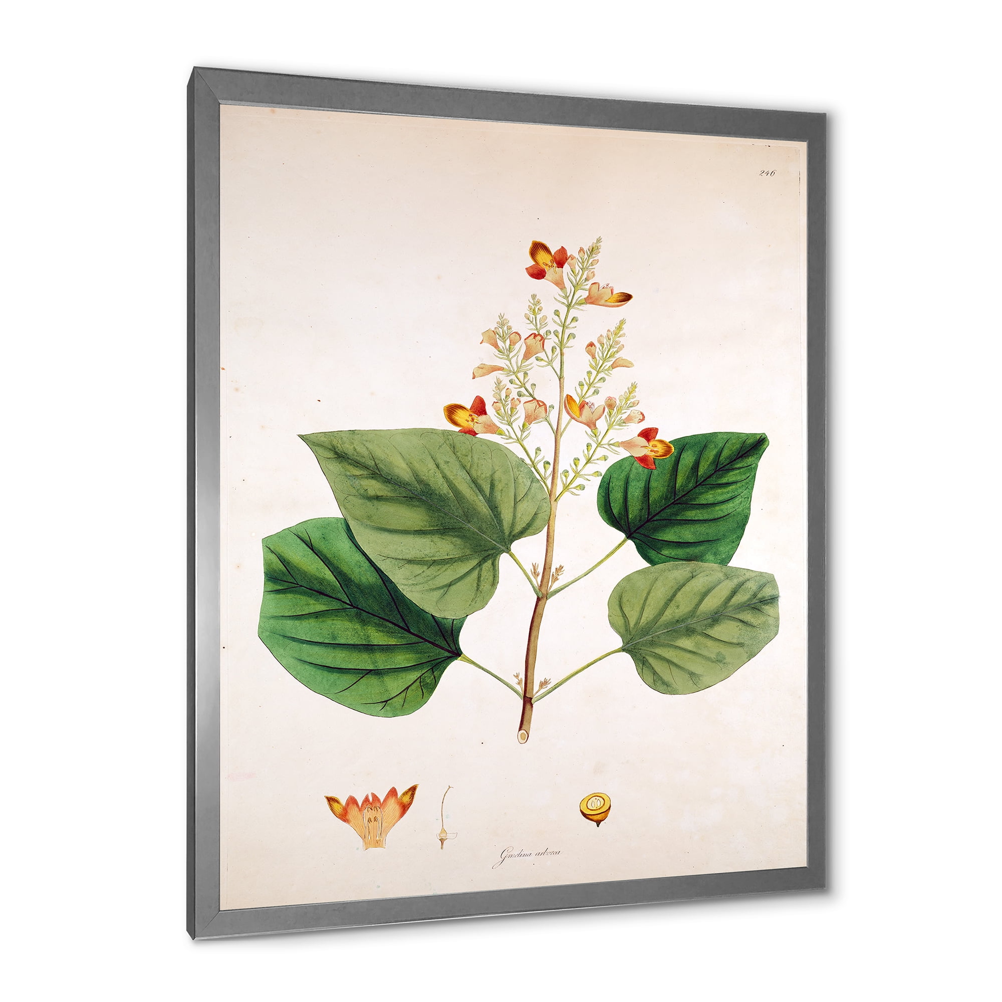 Designart 'Ancient London Plants XII' Farmhouse Framed Art Print