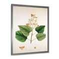 thumbnail image 2 of Designart 'Ancient London Plants XII' Farmhouse Framed Art Print, 2 of 4
