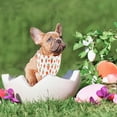 thumbnail image 6 of dajkiuy 1 Pcs Easter Dog Bandana,Triangle Reversible Pet Scarf for Boy and Girl,Premium Durable Fabric, Holiday Bandana for Small Medium Large and Extra Large Dogs, 6 of 7