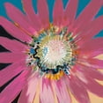 thumbnail image 2 of Bernsen, Leslie 12x12 Gold Ornate Wood Framed with Double Matting Museum Art Print Titled - Sunshine Flower III, 2 of 4