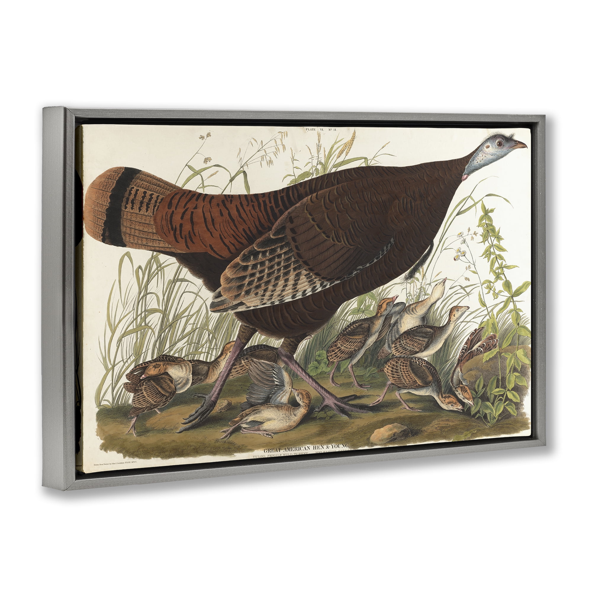 Stupell Industries Classic Great American Hen Animals Painting Gray Floater Framed Canvas Art Print Wall Art, 25 x 17