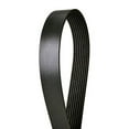 thumbnail image 2 of Continental OE Technology Series 4080755 8-Rib, 75.5" Multi-V Belt, 2 of 4