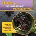 thumbnail image 5 of Viva Naturals Elderberry, Vitamin C + Zinc, 120 Capules, 5 of 10