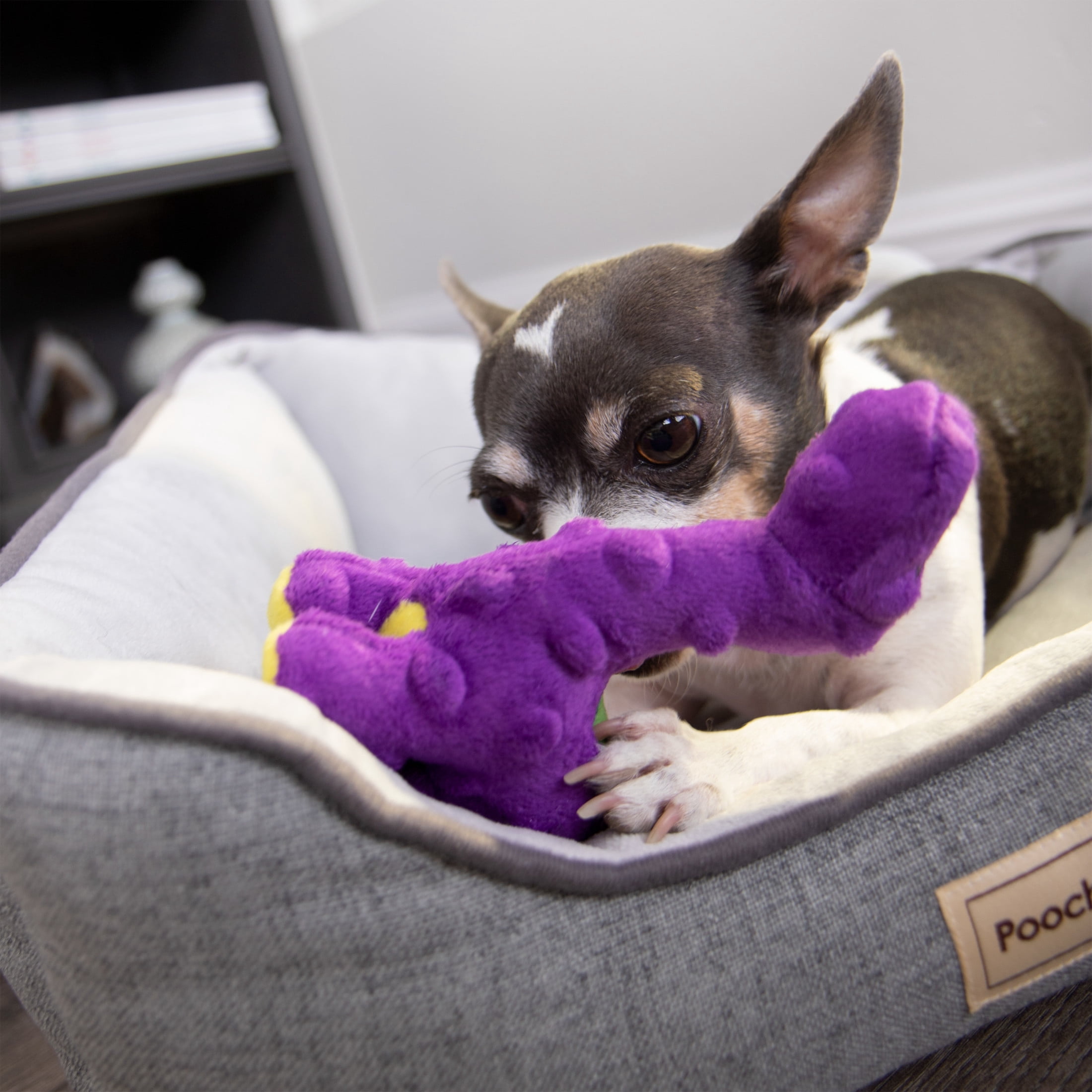 goDog Dinos Bruto Just For Me Squeaky Plush Dog Toy, Chew Guard Technology, Purple, Mini