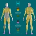 thumbnail image 4 of HoMedics Rebound Percussion Mini Massager, 4 of 6
