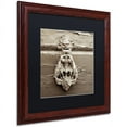 thumbnail image 2 of Trademark Fine Art "La Porta Soprammobile II" Canvas Art by Alan Blaustein, Black Matte, Wood Frame, 2 of 4