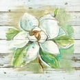 thumbnail image 2 of Robinson, Carol 20x20 Gold Ornate Wood Framed with Double Matting Museum Art Print Titled - Country Magnolia, 2 of 4
