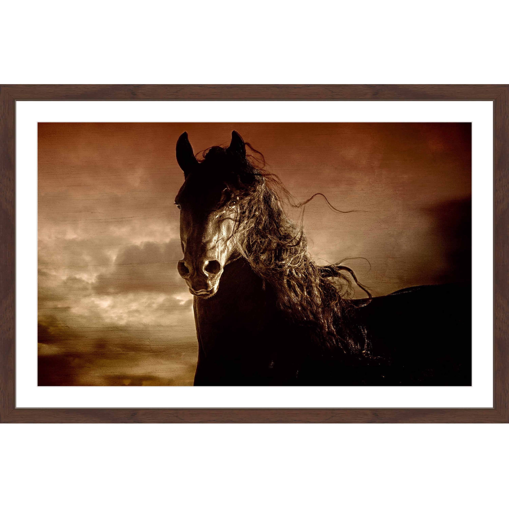 "Friesian Fire" Framed Painting Print