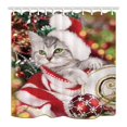 thumbnail image 1 of Cortina de ducha de baño ABPHQTO gato Lindo con sombrero de Navidad 160x180 cm, 1 of 1