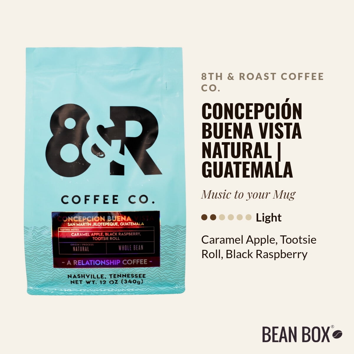 Concepción Buena Vista Natural Guatemala - Roasted by 8th & Roast Coffee Co. - Whole Bean Coffee - 12oz Bag