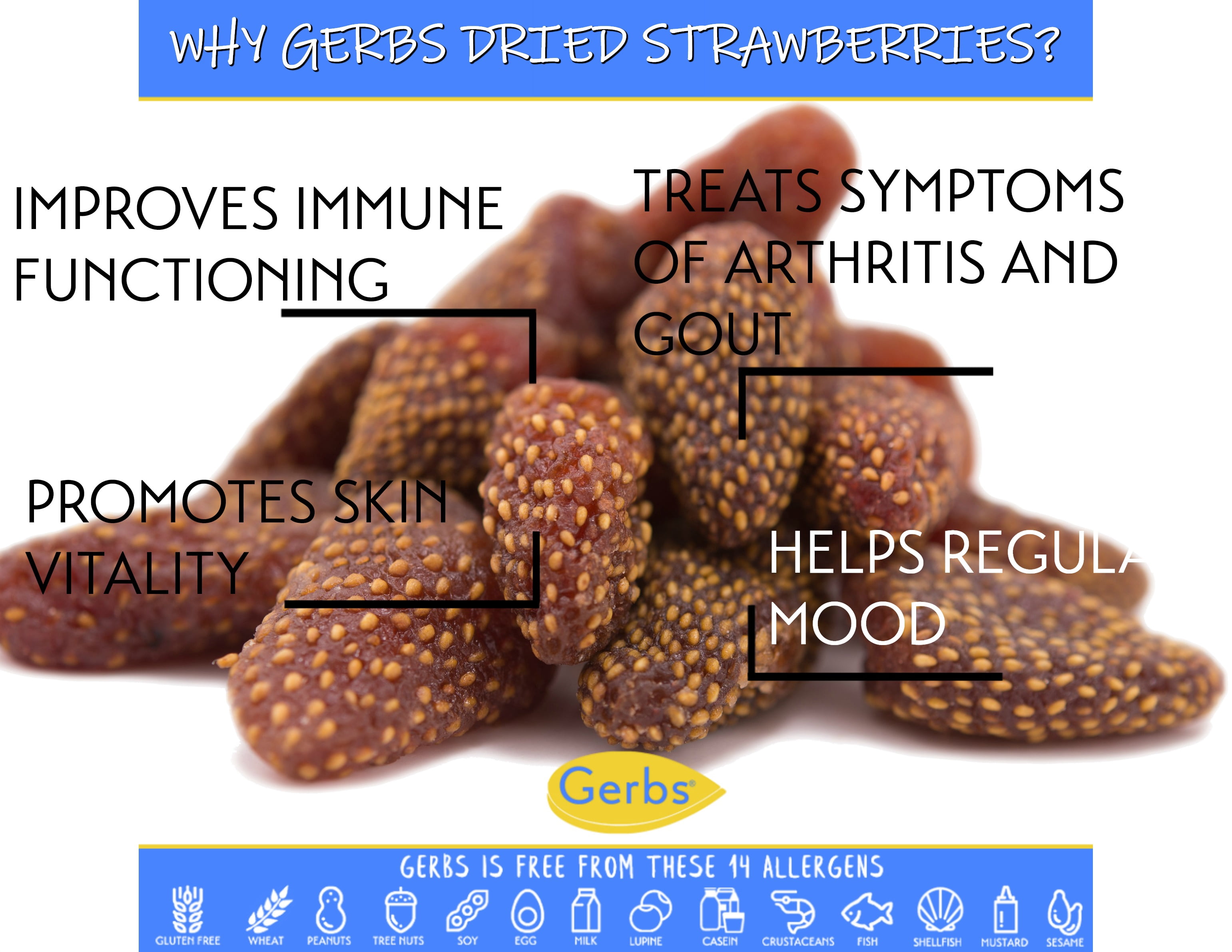 GERBS Summer Sweet Strawberries 2 LBS. | Freshly Dehydrated Resealable Bulk Bag | Top Food Allergy Free | Sulfur Dioxide Free Red Berry | Rich in Vitamins Minerals & Antioxidants| Gluten & Peanut Free