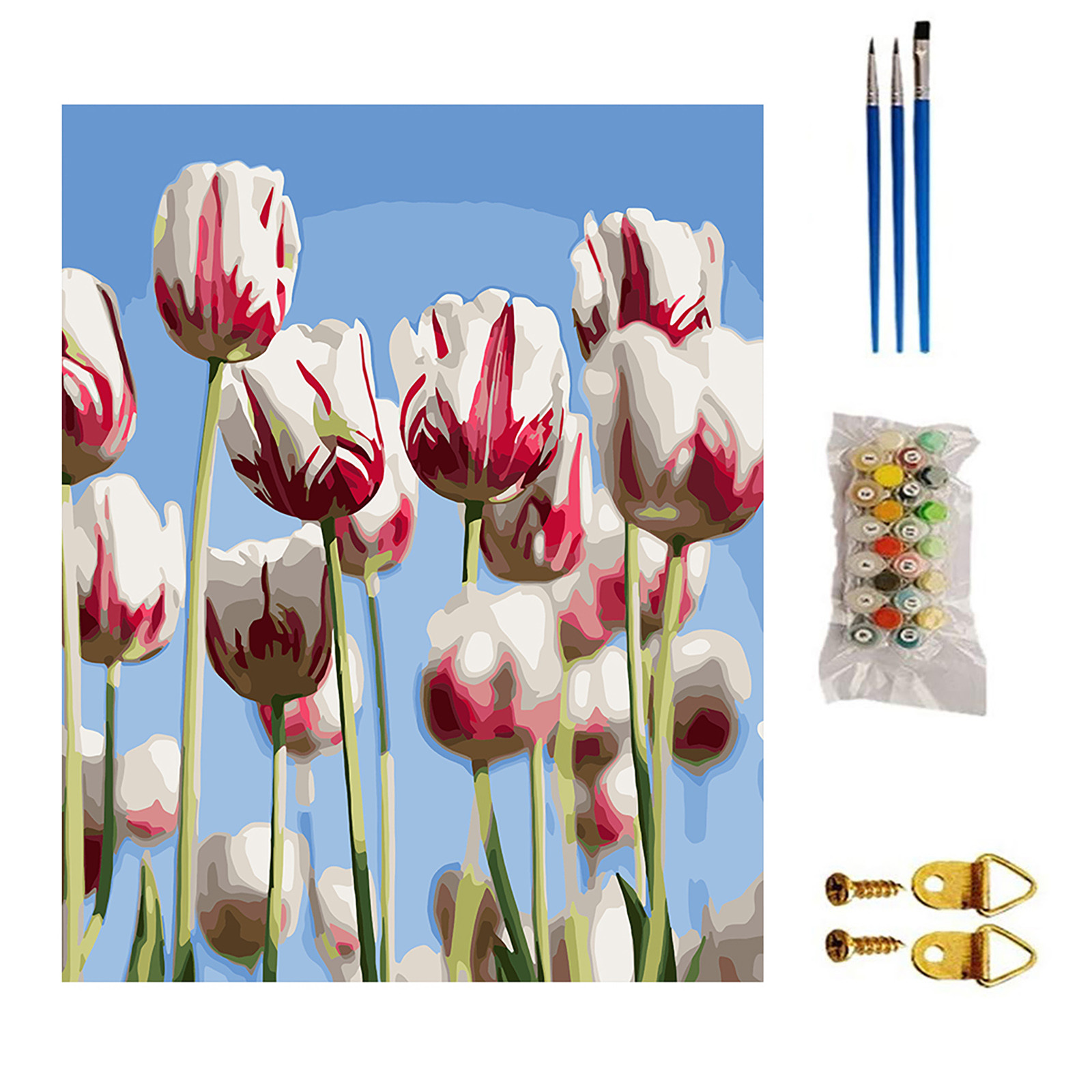 LYCAQL Oil Painting DIY Oil Painting 16 x 20 Inch With Brushes And