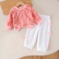 thumbnail image 2 of TOWED22 Toddler Baby Girl Clothes Fall Winter Outfits Infant Girl Sweatshirt Top Pants Set Toddler 2Pcs Clothes,Pink,12-18 M, 2 of 9