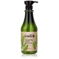 thumbnail image 1 of Loción para manos y cuerpo CoDi Codi Green Tea 750 ml, 1 of 1