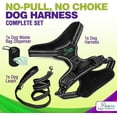 thumbnail image 4 of Katziela Dog Harness Walking Kit and Leash Set in Black Medium for Dogs Pack 1, 4 of 7