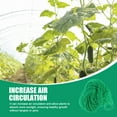 thumbnail image 2 of Voiceine Nylon Trellis Netting for Plants Durable Trellis Net for Climbing Plants Vegatables, 2 of 10