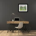 thumbnail image 3 of Stevens, Allayn 32x26 Black Ornate Wood Framed with Double Matting Museum Art Print Titled - Garden Path -3, 3 of 4