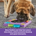 thumbnail image 5 of Brightkins DJ Doggo Puzzle Feeder - Dog Toy Treat Dispenser, Multi-color Jigsaw for Puppy Enrichment & Birthdays, 5 of 8