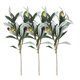 thumbnail image 1 of 3pcs Ramas de oliva Tallos de olivo de oliva, 1 of 5