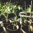 thumbnail image 2 of 20 piezas soporte para plantas de jardín, soporte para flores de hortensia, varilla de soporte para plantas en maceta, 2 of 6