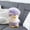 Purple, variant on Toy Adorable Chicken Face Pillow with Green Hair Stress- Chick Doll for Adults for Animal Lovers, 17.7 inch, Purple