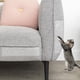 thumbnail image 2 of Pet Cat Anti-Scratch Guard Shield Tira de Entrenamiento Sofá Pared Protector de Puerta Etiqueta-M ER, 2 of 5