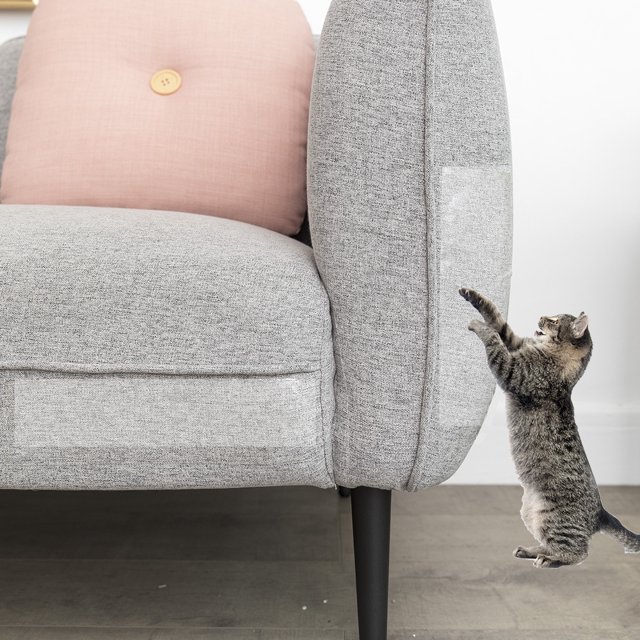 Sofá para mascotas antiarañazos para gatos, cinta protectora de entrenamiento para gatos transparente antiarañazos.