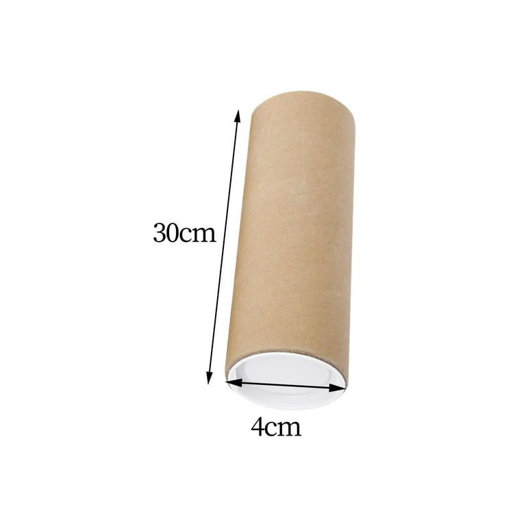 Poster Tubes for Mailing with End Cap Storage Round Protector Tube Mailing  Tube for Poster Blueprints Paintings Shipping Storage Container 11.8inch 