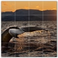 thumbnail image 1 of Picture-Tiles.com: Whale Ceramic Tile Wall Mural WAL501185-44S. 17"W x 17"H using (16) 4.25" x 4.25" Ceramic Tiles-Satin Finish, 1 of 3