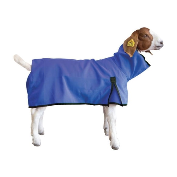 Weaver Livestock Goat Blanket, Large, Blue