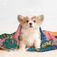 thumbnail image 4 of Yiaed Colorful Summer Fruit Table Print Dog Blankets-Cat Blanket Washable for Couch Protection,Puppy Blanket, Soft Plush Reversible Throw Furniture Protector-Medium, 4 of 8