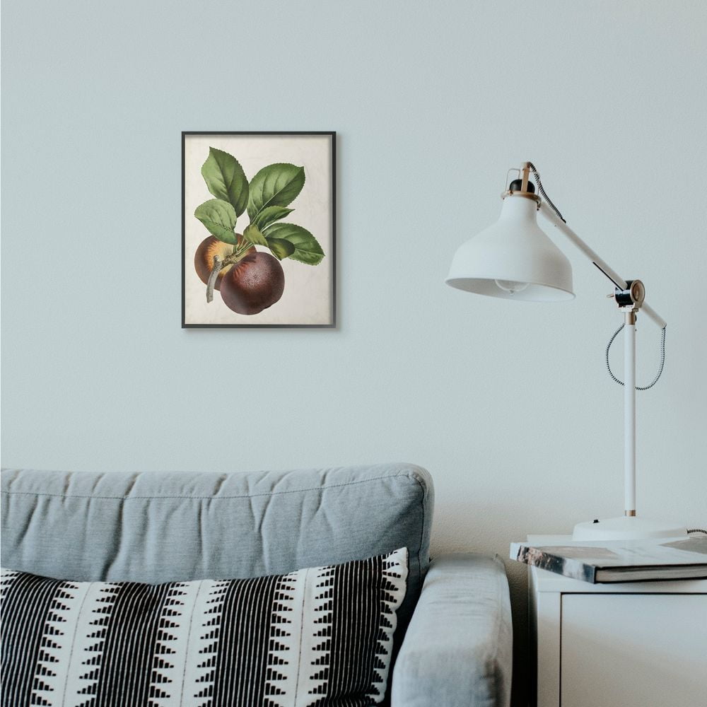 Stupell Industries Vintage Fruit Painting Framed Giclee Texturized Art by Vision Studio