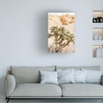 thumbnail image 3 of Canvas Wall Art - Krista Broadway 'Borjas' Wall Art for Living Room, Bedroom, or Office Décor by Trademark Fine Art - 22 x 32 Inches, 3 of 4