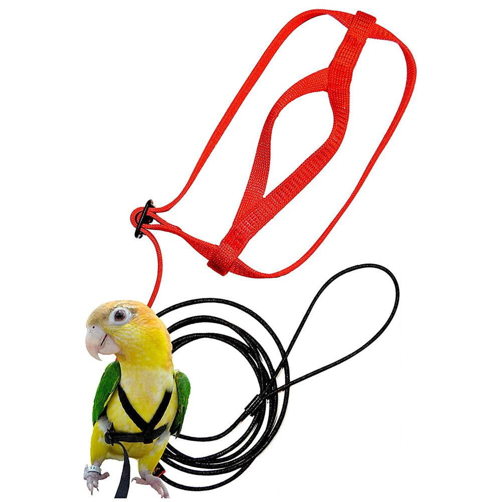 Parrot Harness and Leash Flying Antibite Traction Rope bird Training
