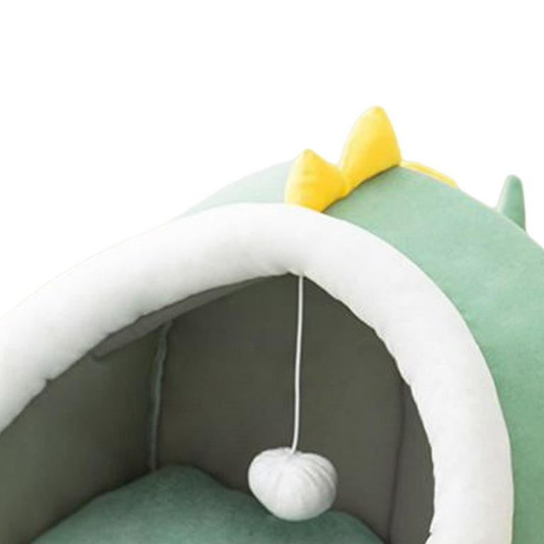 Nandog cactus bed 2025