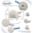 thumbnail image 3 of DolliBu Plush Whale Stuffed Animal - Soft Huggable White Whale, Adorable Playtime Whale Plush Toy, Cute Ocean Life Cuddle Gifts, Super Soft Plush Doll Animal Toy for Kids and Adults - 13 Inches, 3 of 7