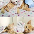 thumbnail image 4 of Pets Dogs Cats Soft Fleece Fluffy Blanket Bed Cover Cute Warm Throw Blankets, 4 of 4