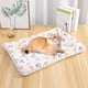 thumbnail image 4 of Dog Mat Milk Velvet Dog House Cats Mat Dog Mat Cats Mat Pet Mat, 4 of 6