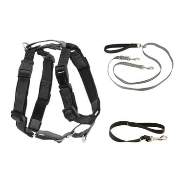 PetSafe 3 in 1 Dog Harness with Two Point Control Leash, Medium, Black