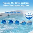 thumbnail image 2 of Cartucho para Jacuzzi CGECGE Frog Ease Paquete de 3 para 600 Galones, 2 of 4