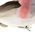 thumbnail image 4 of 2x Aves Modelo Artificial Adornos Decoración Estatuas Artificiales Cola Animales Artificiales Decorativos, 4 of 8
